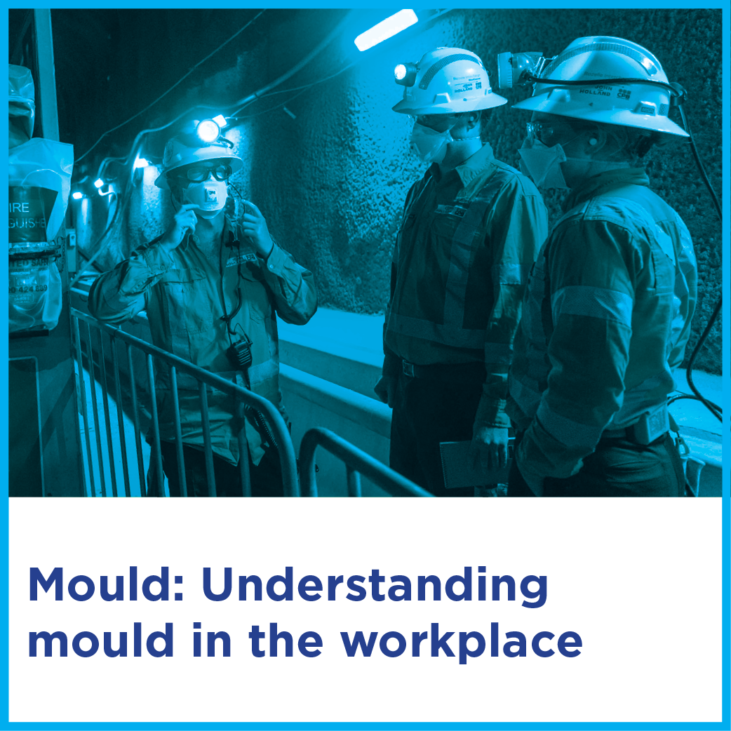 Mould: Understanding mould in the workplace